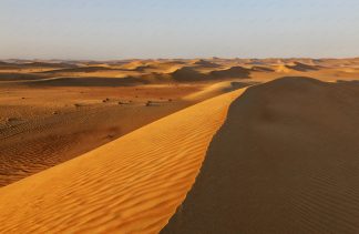 Sand dune landscape in arabian desert.