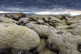 Mmoss covered Lava field