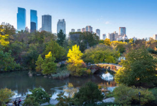 Central Park, Gapstow Bridge, New York City