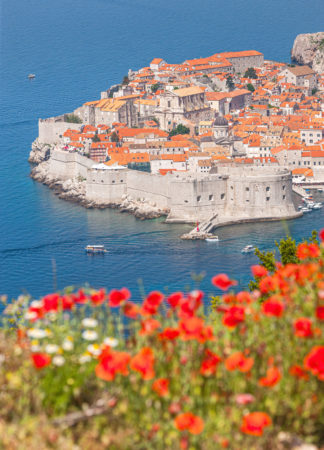 Dubrovnik old town with poppy flowers