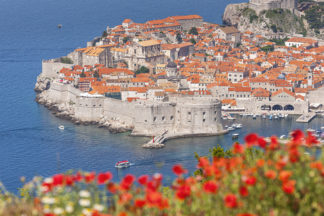 Dubrovnik old town with poppy flowers