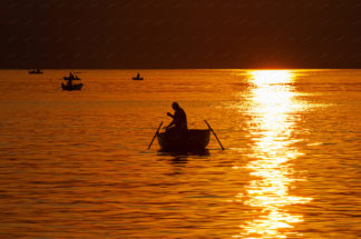 Squid fishing in Croatia