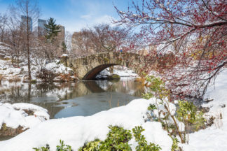 Gapstow bridge of central park in winter