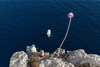 Fishing boat near Lastovo Island