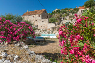 Dubovica old house in island Hvar