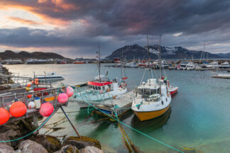 Norway Tromvik harbor with fishing boats