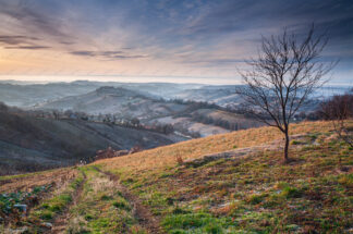 Hazy winter morning in Plesivica hills, Croatia