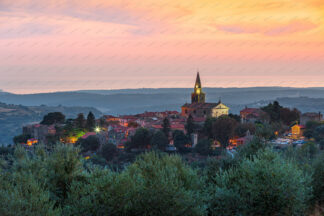Groznjan old town on the hill at sunset with olive groves in front