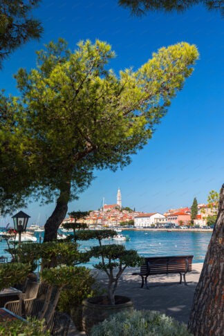 Rovinj old town in Istria