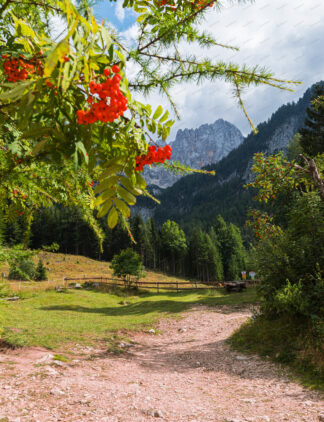 Brunarica Pri Ingotu in Kranjska Gora, Slovenia