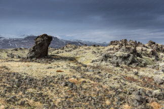 Rocky mossy Lava Fields of Iceland on the west coast