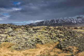 Rocky mossy Lava Fields of Iceland on the west coast