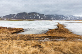 Iceland west coast, frozen lake