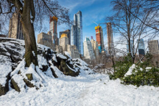 Central park in winter, a view to Manhattan buildings, New York City