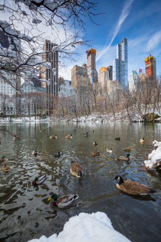 Central park in winter, a view to Manhattan buildings, New York City