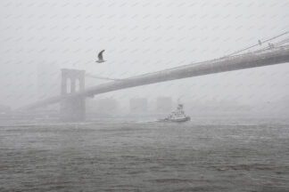 Tag boat is sailing under Brooklyn bridge at snowstorm in winter, New York City