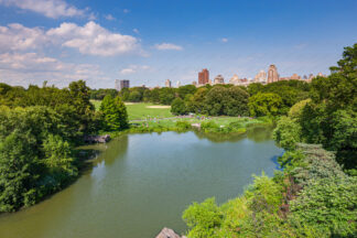 Soccer Fields in Central Park, New York City