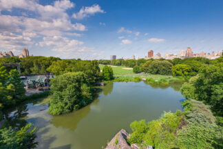 Central Park in New York City