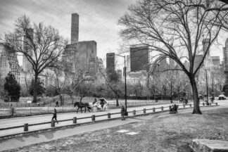 Central Park in New York City