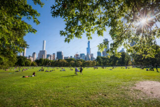 Central Park Sheep Meadow, New York City