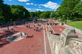 Central Park in New York City