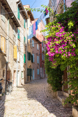 Street in old town Rovinj